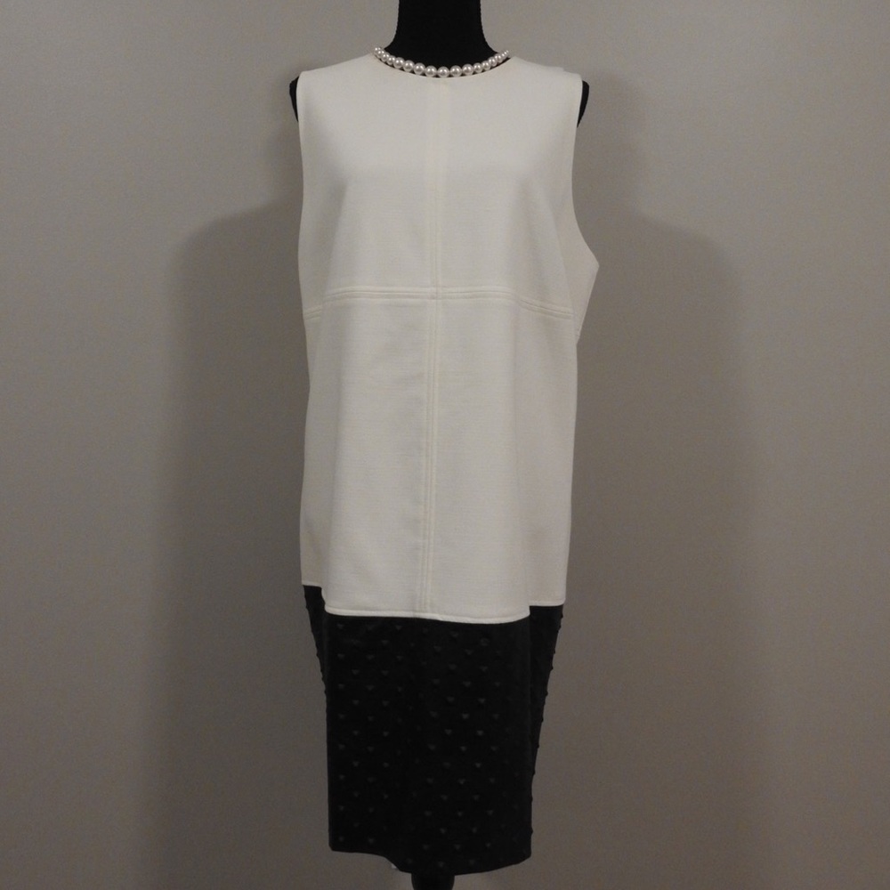 Color Block Shift Dress